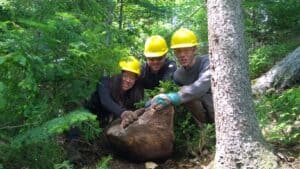 Help the Trail Crew