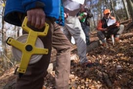 Be a Corridor Monitor"