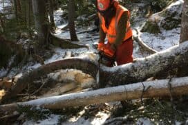 Be A Trail Maintainer"