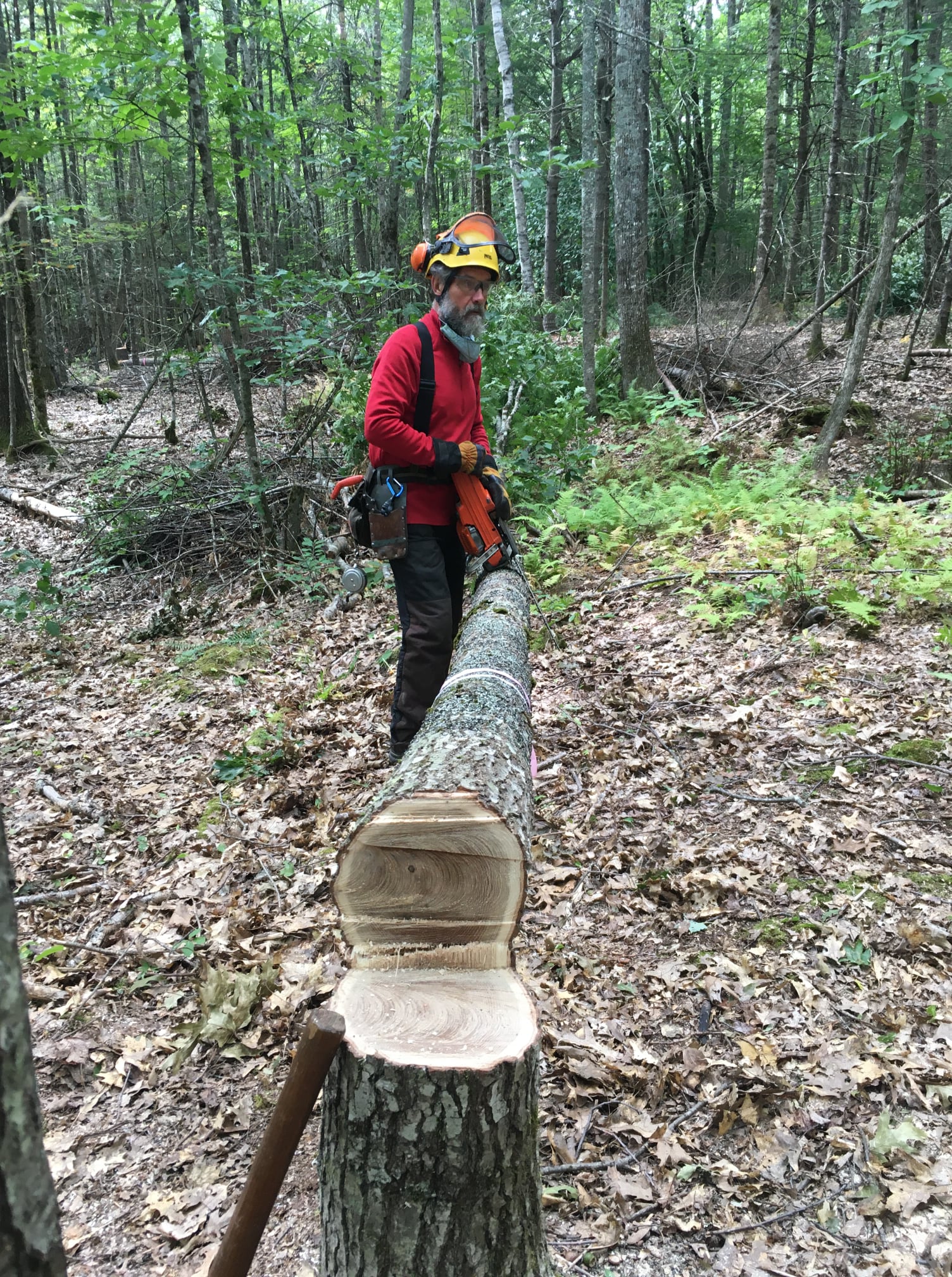 Chainsaw Training Maine Appalachian Trail Club