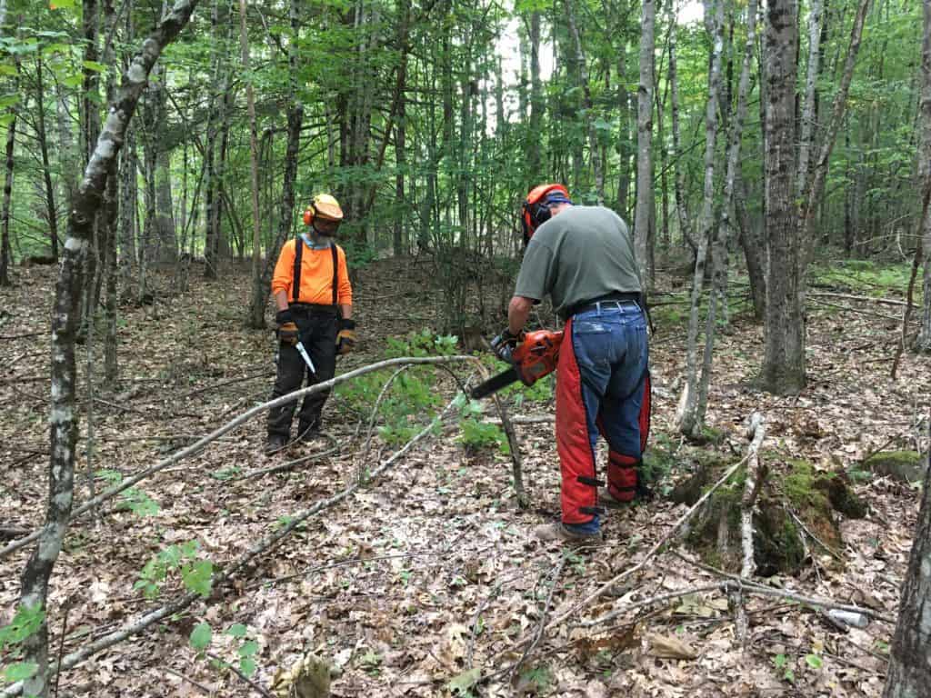 Chainsaw Training Maine Appalachian Trail Club