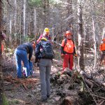 White Brook Trail Work Trip