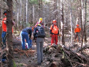 White Brook Trail Work Trip