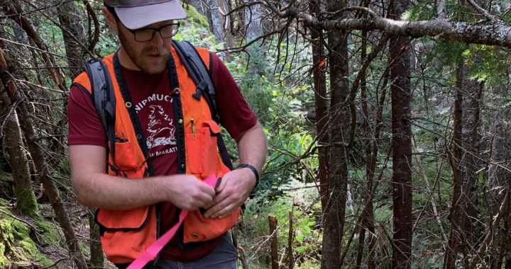 Dan Hale, ATC’s Natural Resource and Land Stewardship Manager