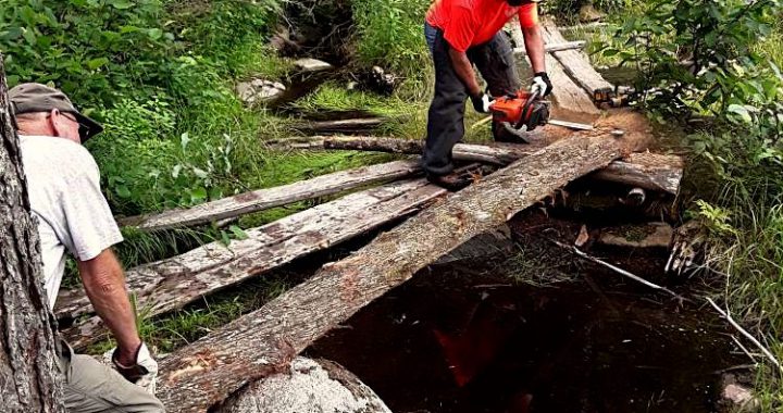 Bog Bridging White Cap