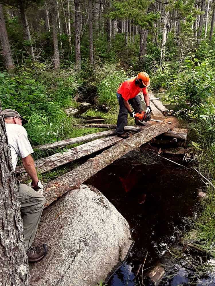 Bog Bridging White Cap