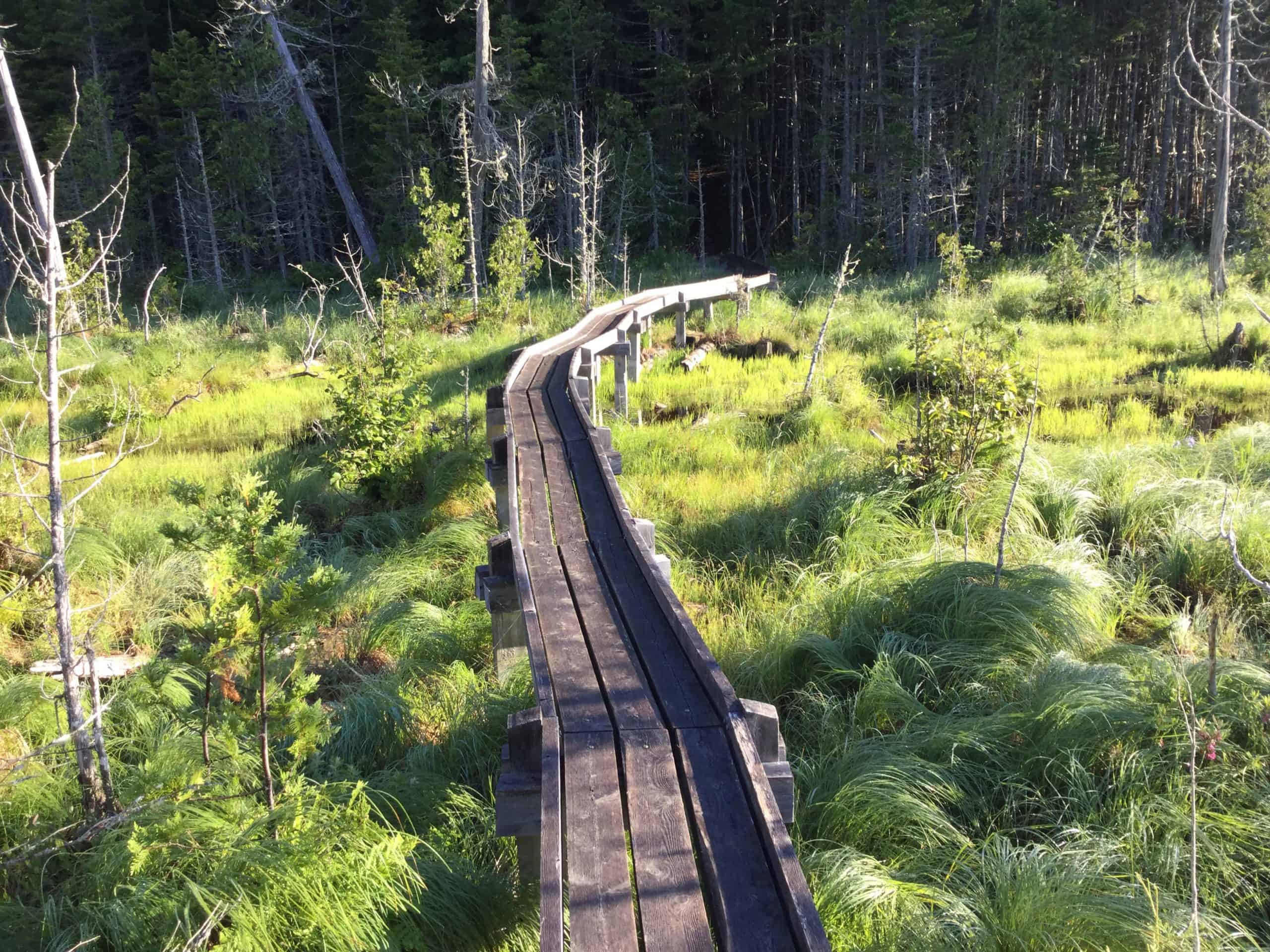 Trail Work Tour Maine Appalachian Trail Club Trail Work Tour Maine Appalachian Trail Club