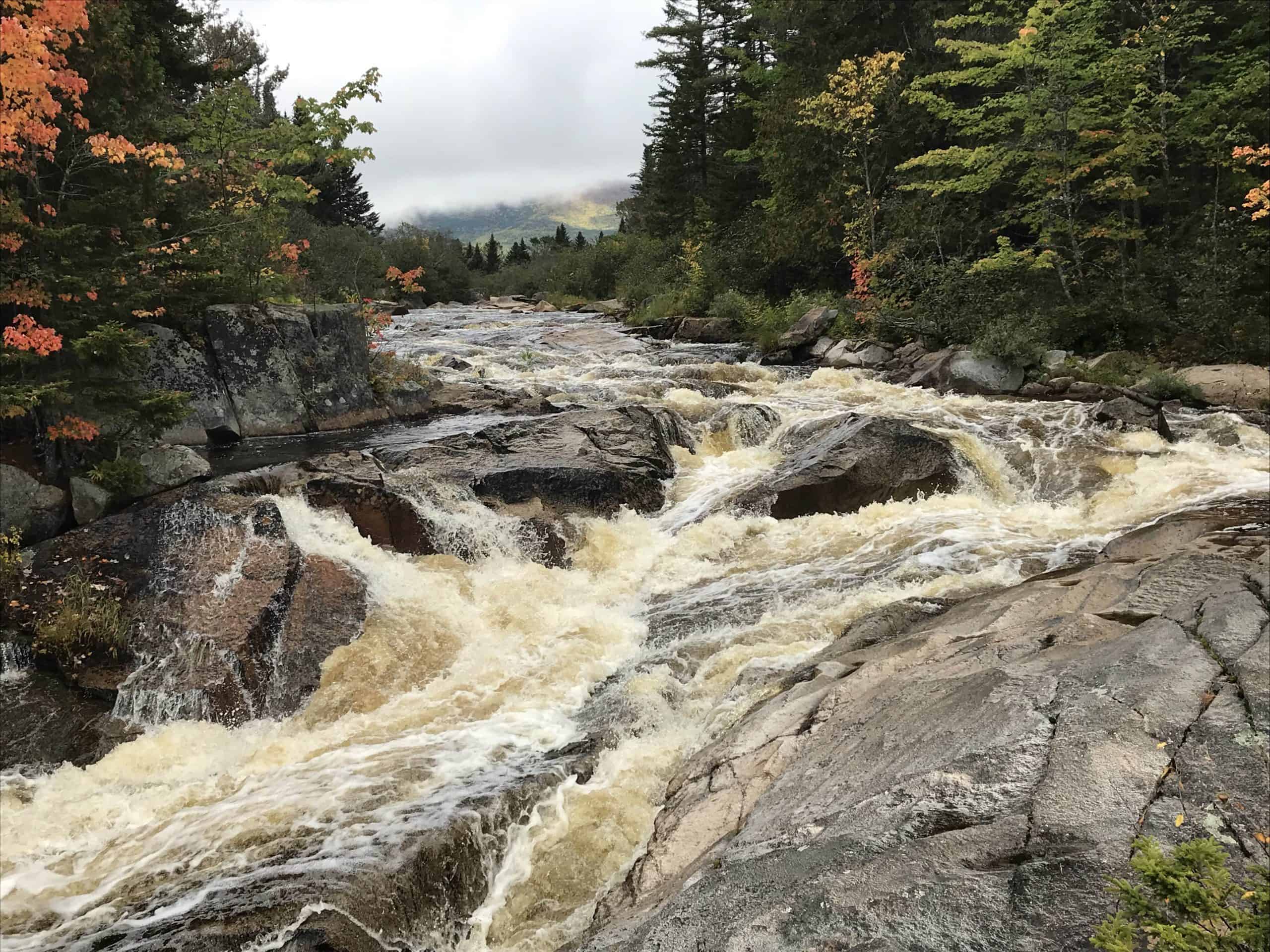 Nesowadnehunk Stream