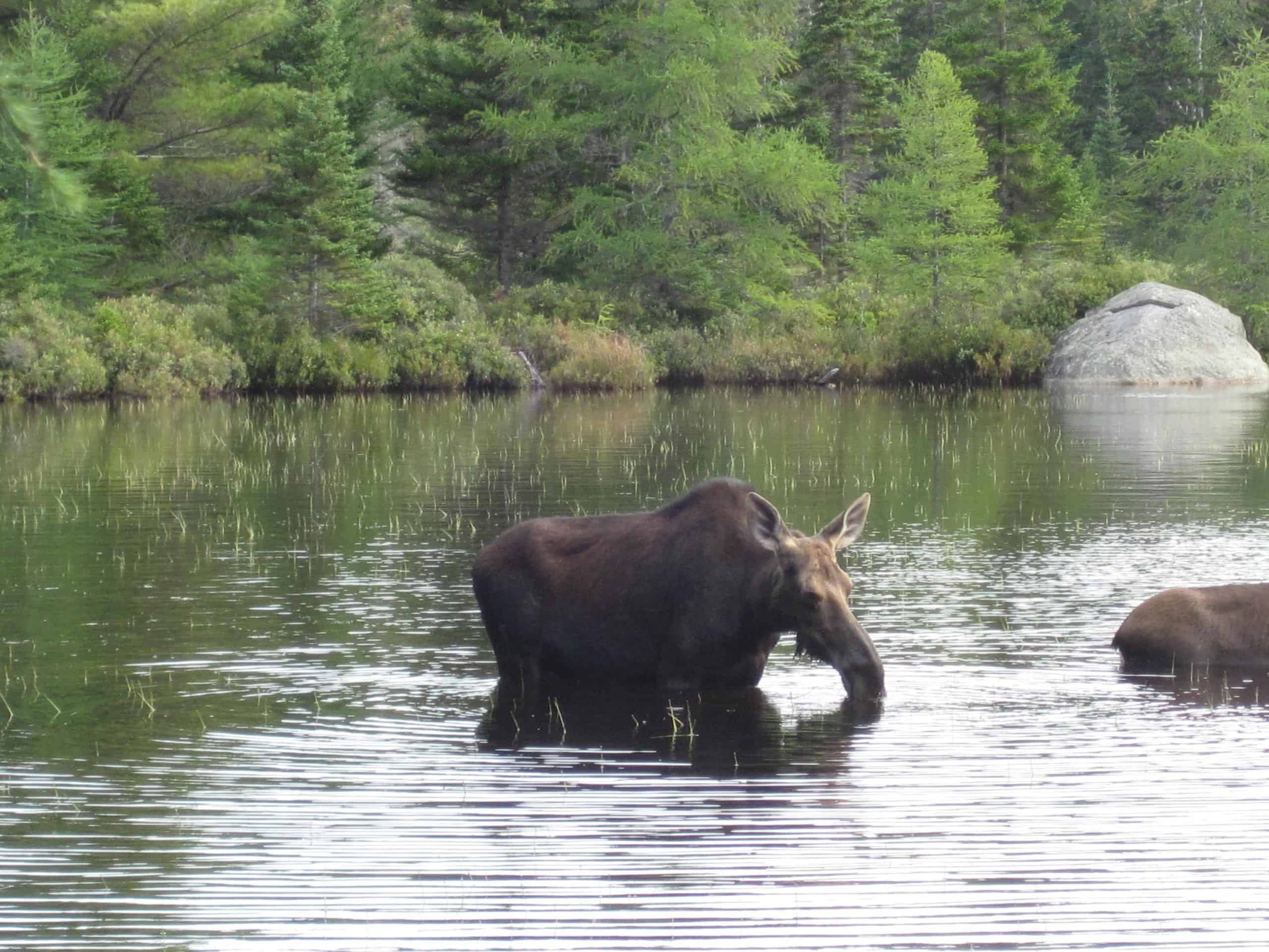 Baxter State Park